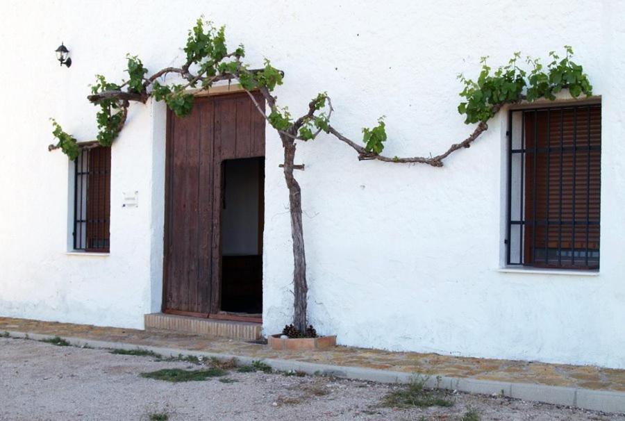 Casa Rural Casa Maxima Єкла Номер фото